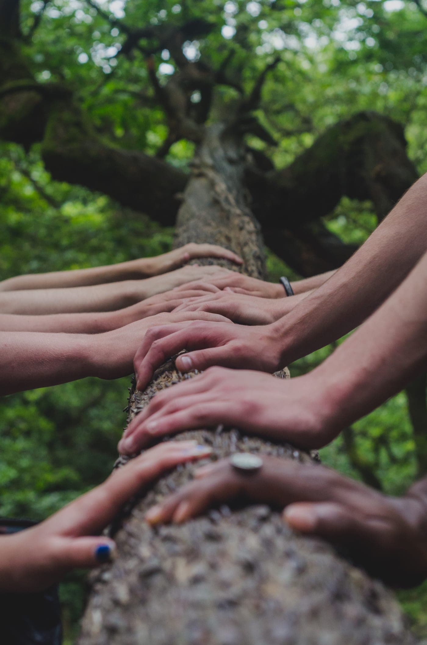 Buddhistische Gemeinschaft