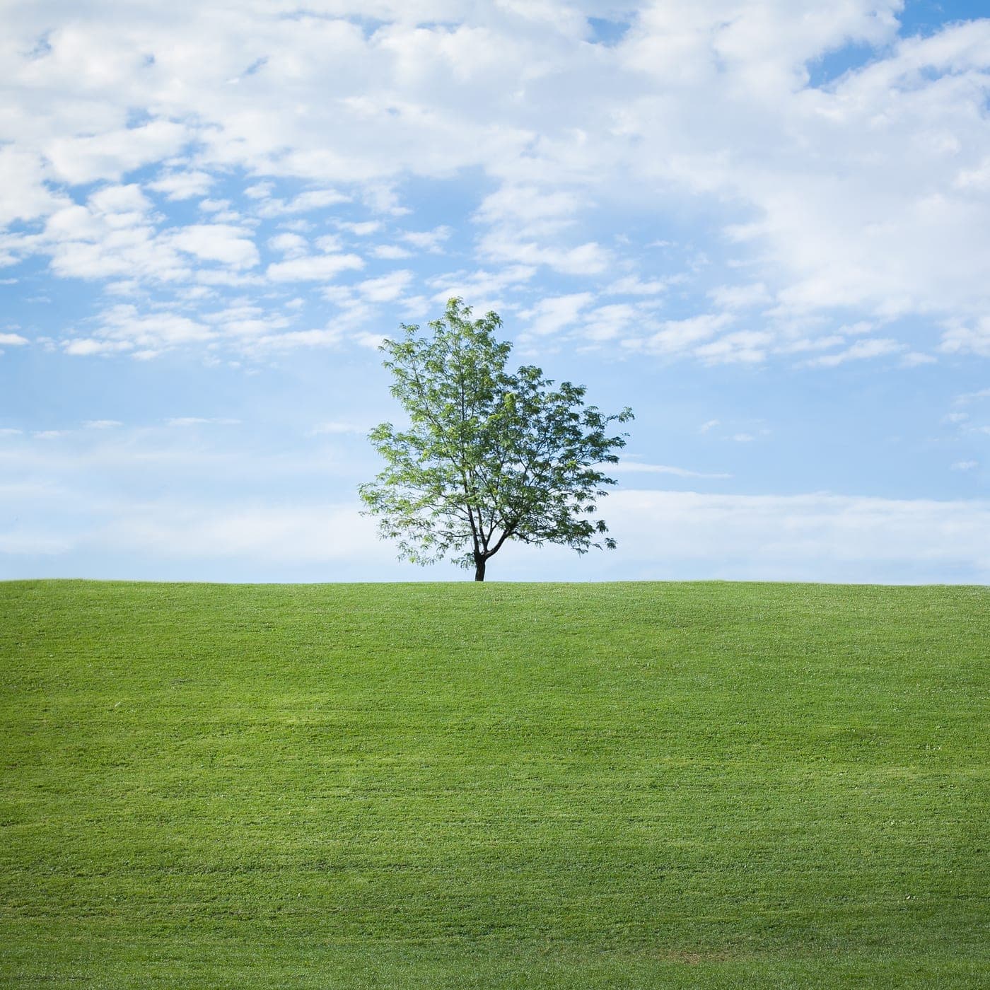 Natur und Meditation